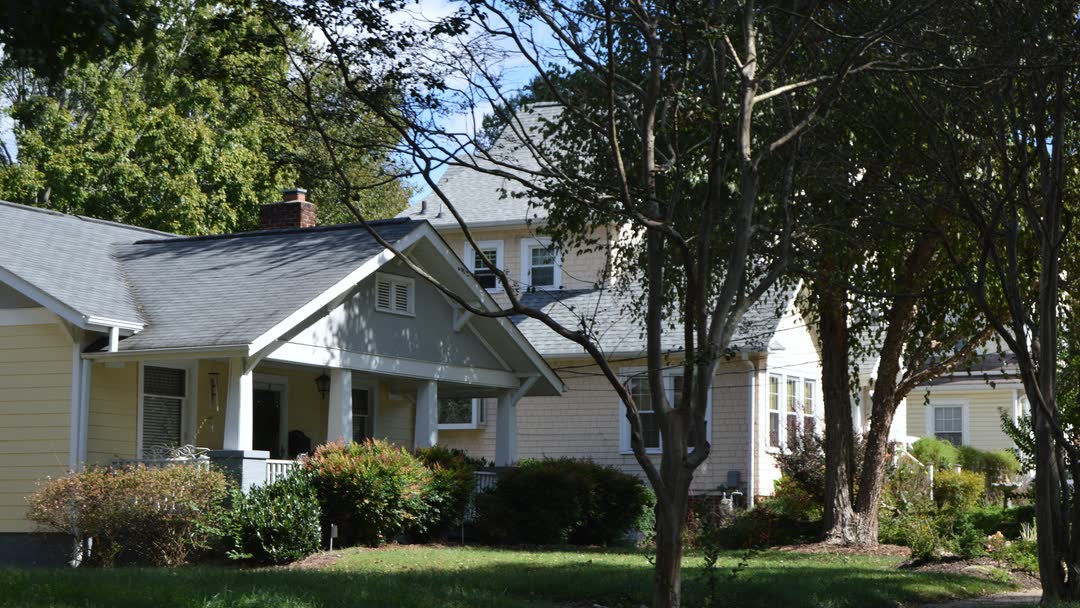 Bungalows behind street trees in the Ardmore Historic District of Winston-Salem, North Carolina.