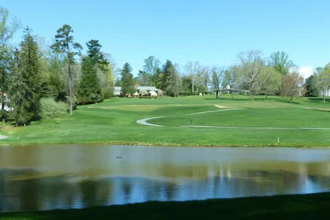 Calm pond in front of a wide green lawn and trees in Biltmore Forest