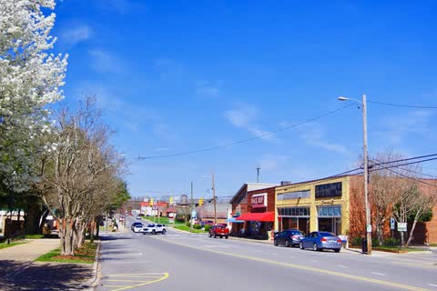 Main Street in Boiling Springs lined with flowering trees and low shops