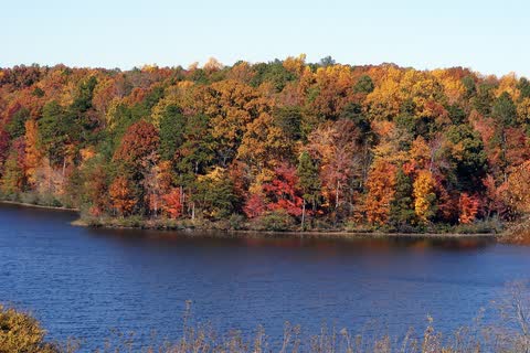 A lake with a shoreline of trees in orange and red autumn color at Butner