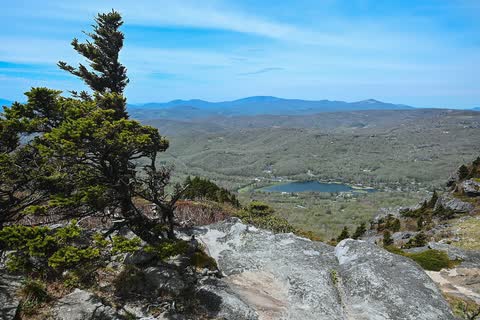 Rocky ledge with a wind-bent tree overlooking blue mountain ridges and a lake far below