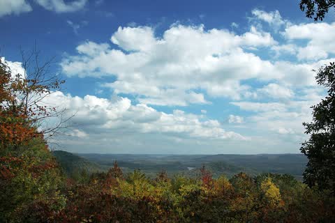 Autumn trees framing a wide view over forested hills and valleys under a cloudy sky