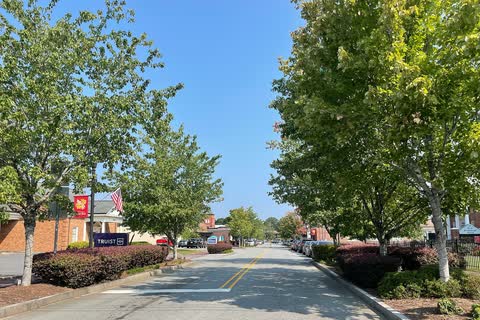 Tree-lined street leading into downtown Mount Holly on a sunny day