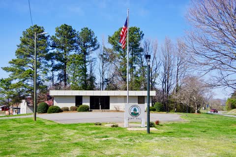 Low Polkville town hall building with a flagpole and pine trees