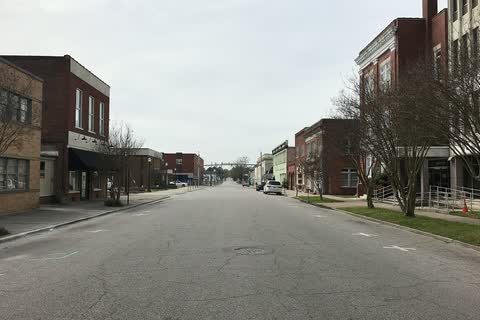 A tree-lined downtown street with brick buildings in Tarboro