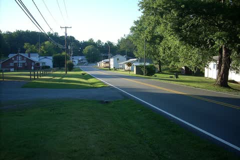 Quiet tree-lined road through Tobaccoville with a few buildings in the distance