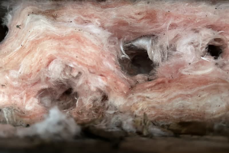 Close-up of old pink fiberglass insulation with tunnels and holes left by small animals.